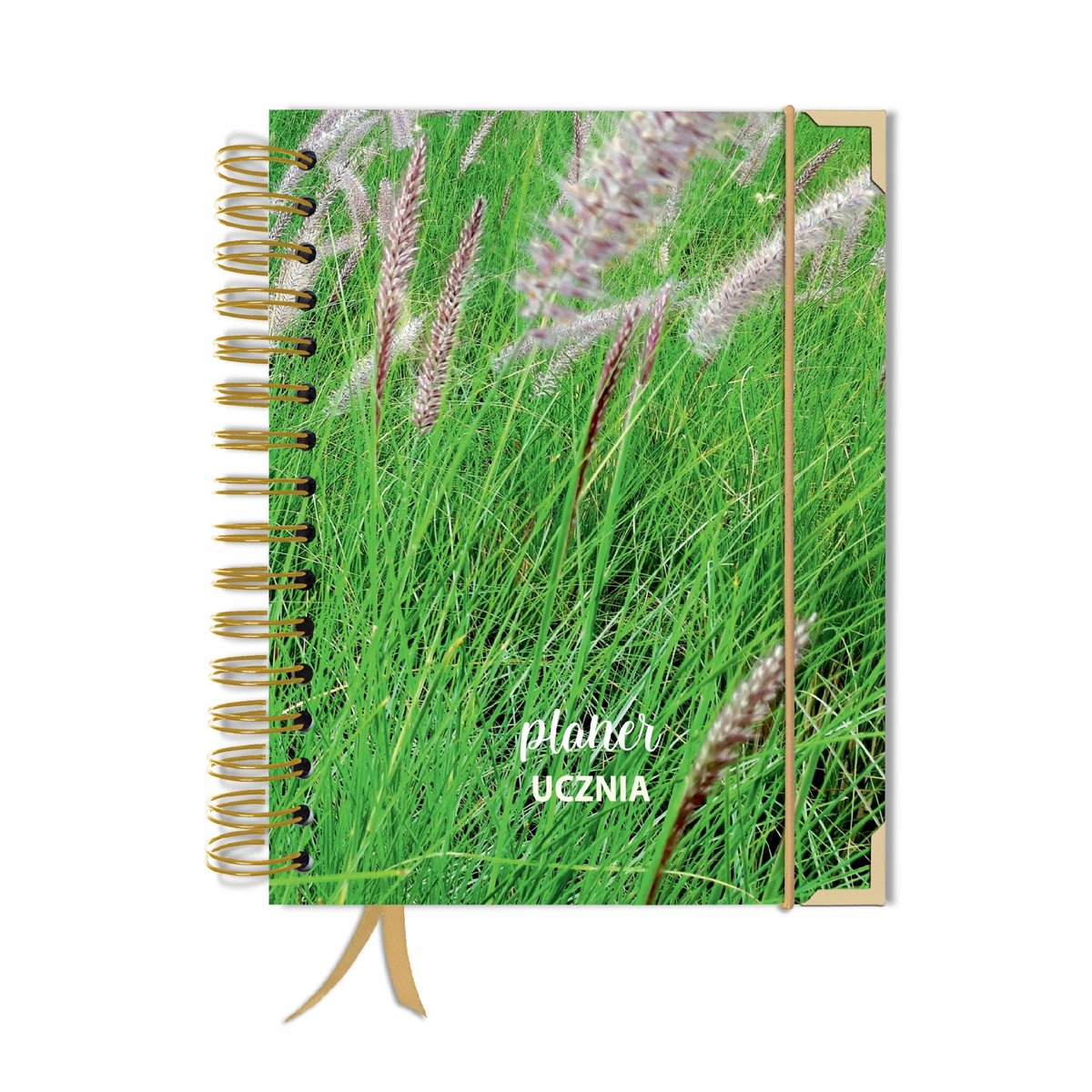 Kalendarz tygodniowy, A5, Uczniowski, Bez dat, Różnokolorowy