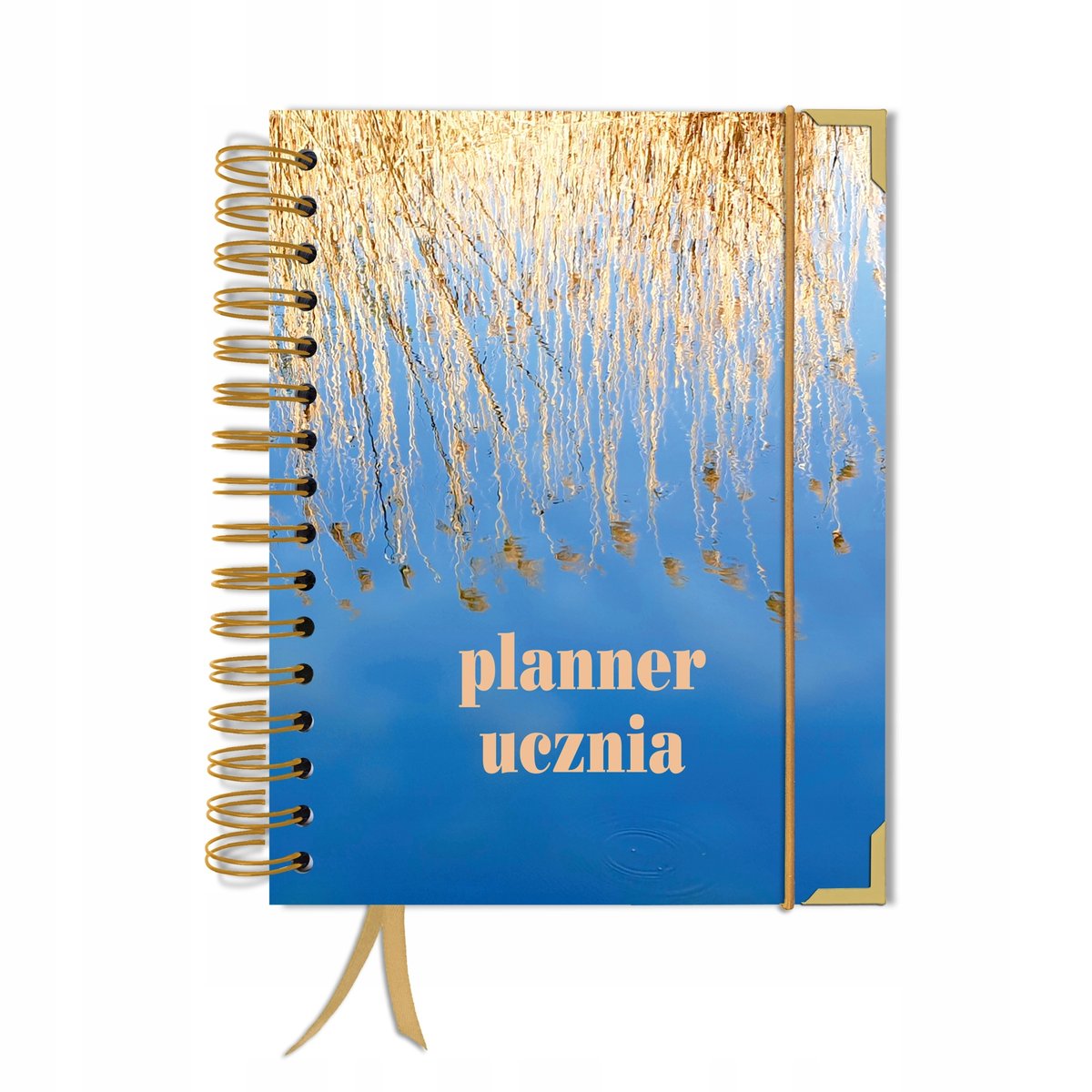 Kalendarz tygodniowy, A5, Uczniowski, Bez dat, Różnokolorowy