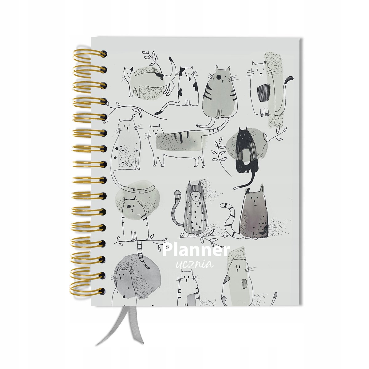 Kalendarz tygodniowy, A5, Uczniowski, Bez dat, Różnokolorowy