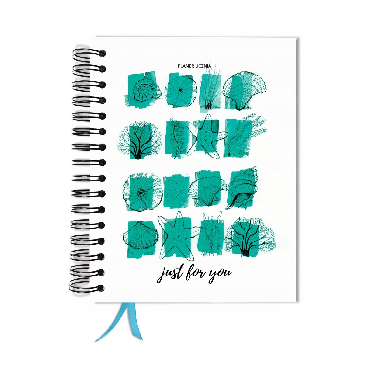 Kalendarz tygodniowy, A5, Uczniowski, Bez dat, Różnokolorowy