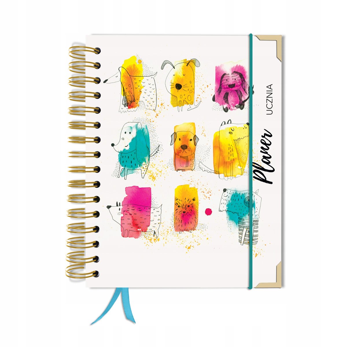 Kalendarz tygodniowy, A5, Uczniowski, Bez dat, Różnokolorowy