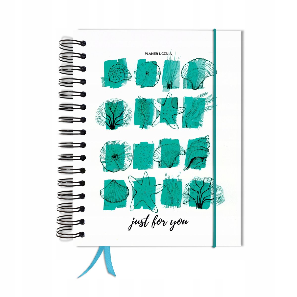 Kalendarz tygodniowy, A5, Uczniowski, Bez dat, Różnokolorowy