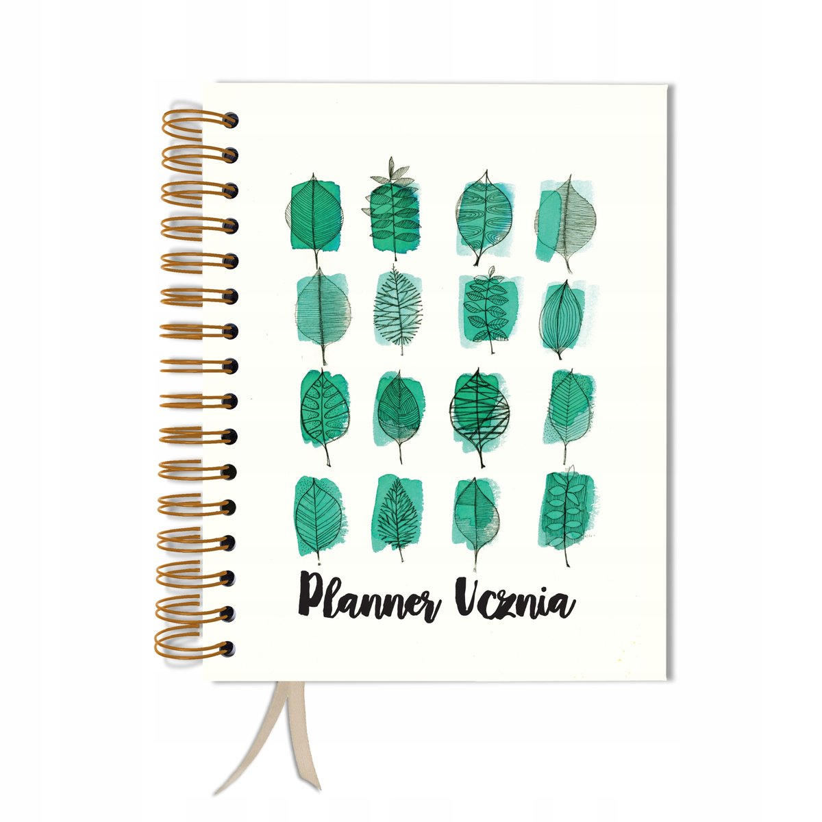 Kalendarz tygodniowy, A5, Uczniowski, Bez dat, Różnokolorowy