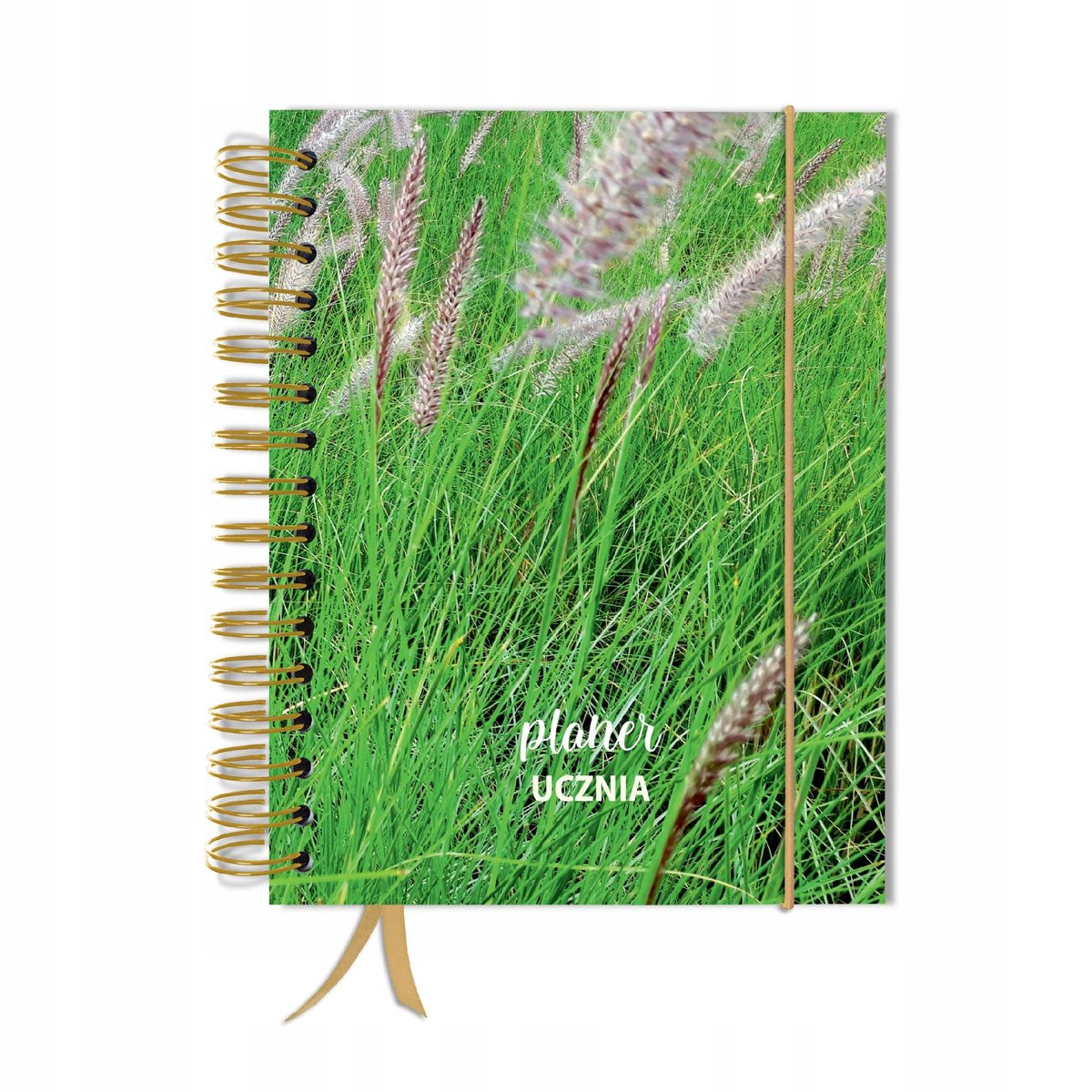 Kalendarz tygodniowy, A5, Uczniowski, Bez dat, Różnokolorowy