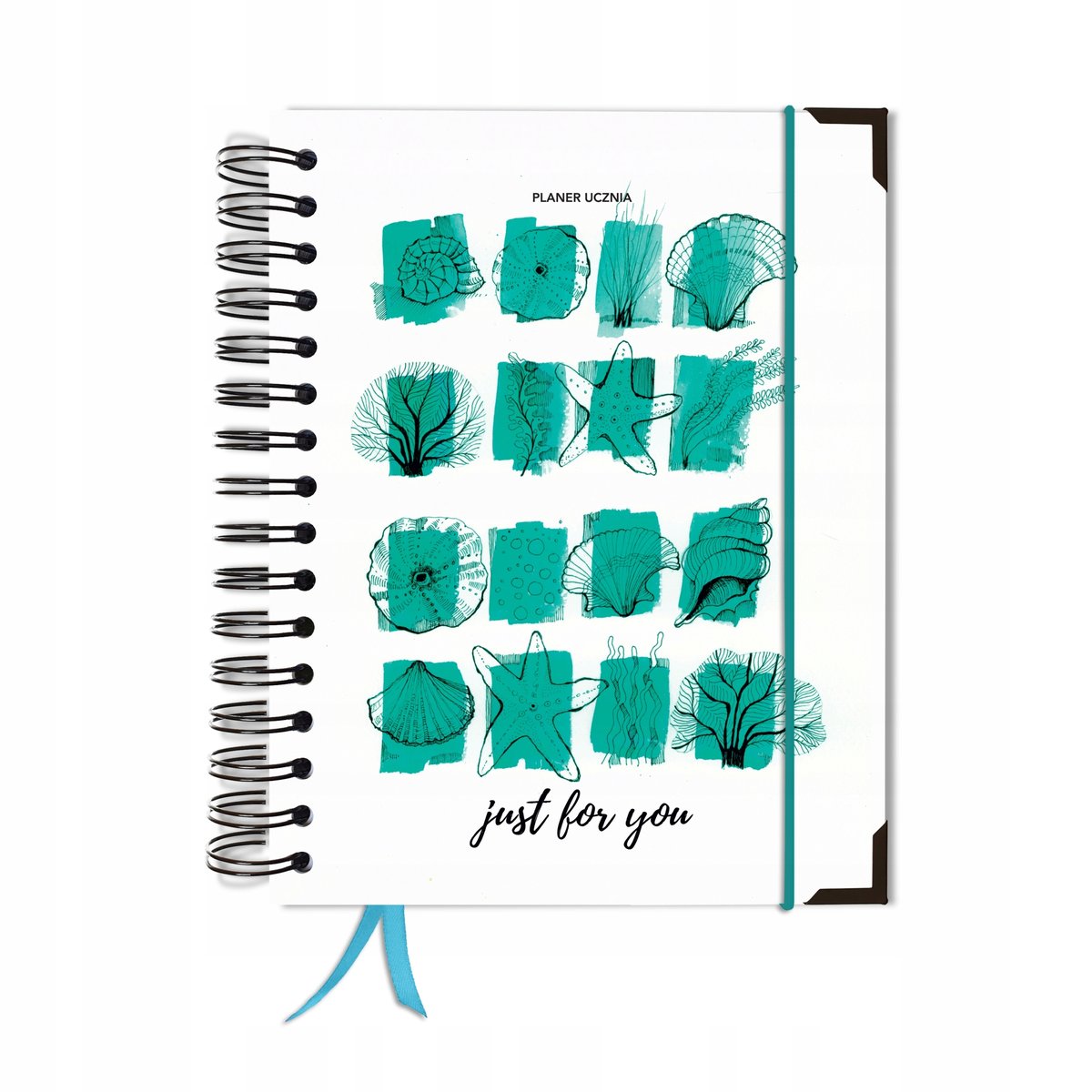 Kalendarz tygodniowy, A5, Uczniowski, Bez dat, Różnokolorowy