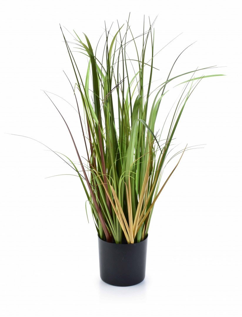 Kwiat sztuczny trawa ozdobna w doniczce h65cm HTQB9061 5 Mondex