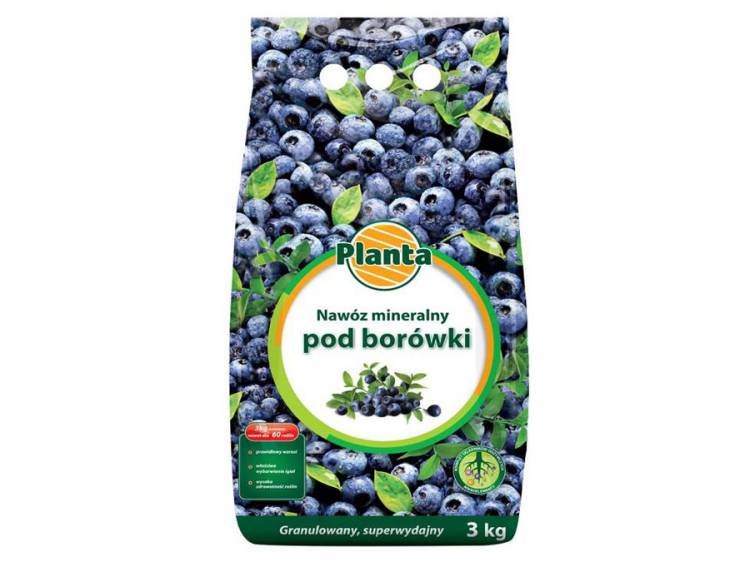 NAWÓZ POD BORÓWKI JAGODY DUŻE I SMACZNE OWOCE 3kg