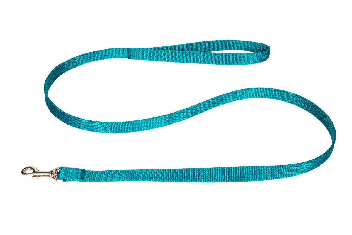 Smycz TAŚMA 20mm MORSKA 120cm