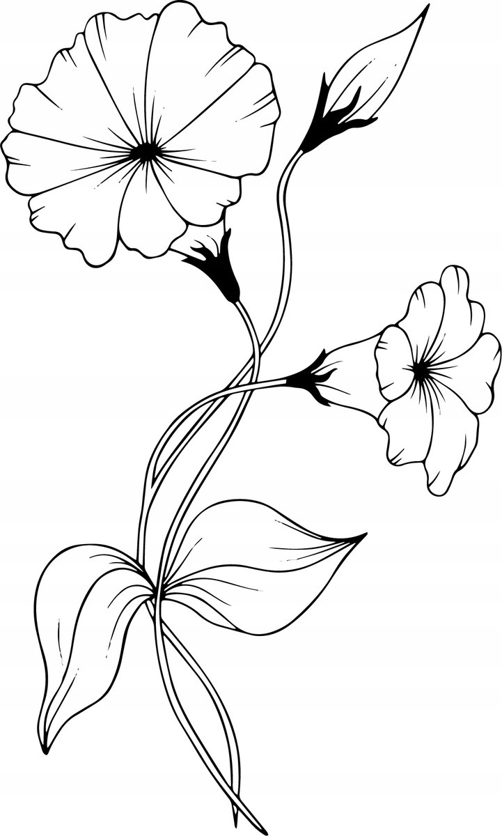 Naprasowanka Kwiaty Linii Termo Naklejka Na Odzież