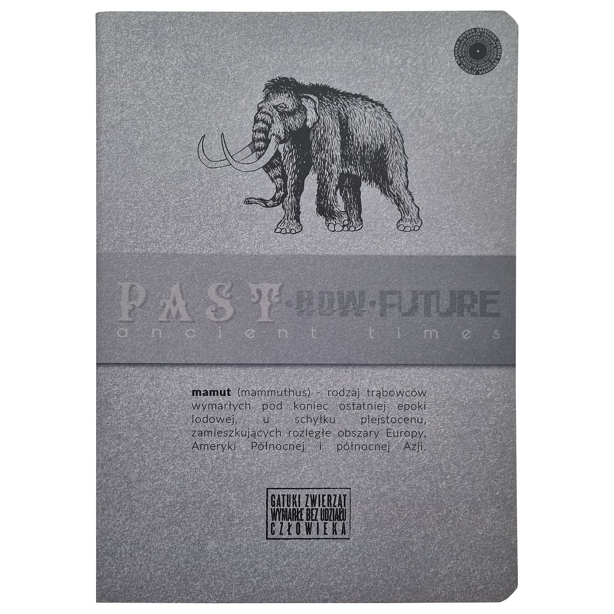 Pastnowfuture3 Brulion 96Kb5 W Kratkę, Okładka Z Jasnoszarego Kartonu
