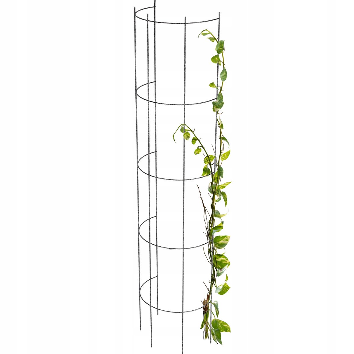 Pergola Ogrodowa Kolumna Na Kwiaty Róże 120 cm