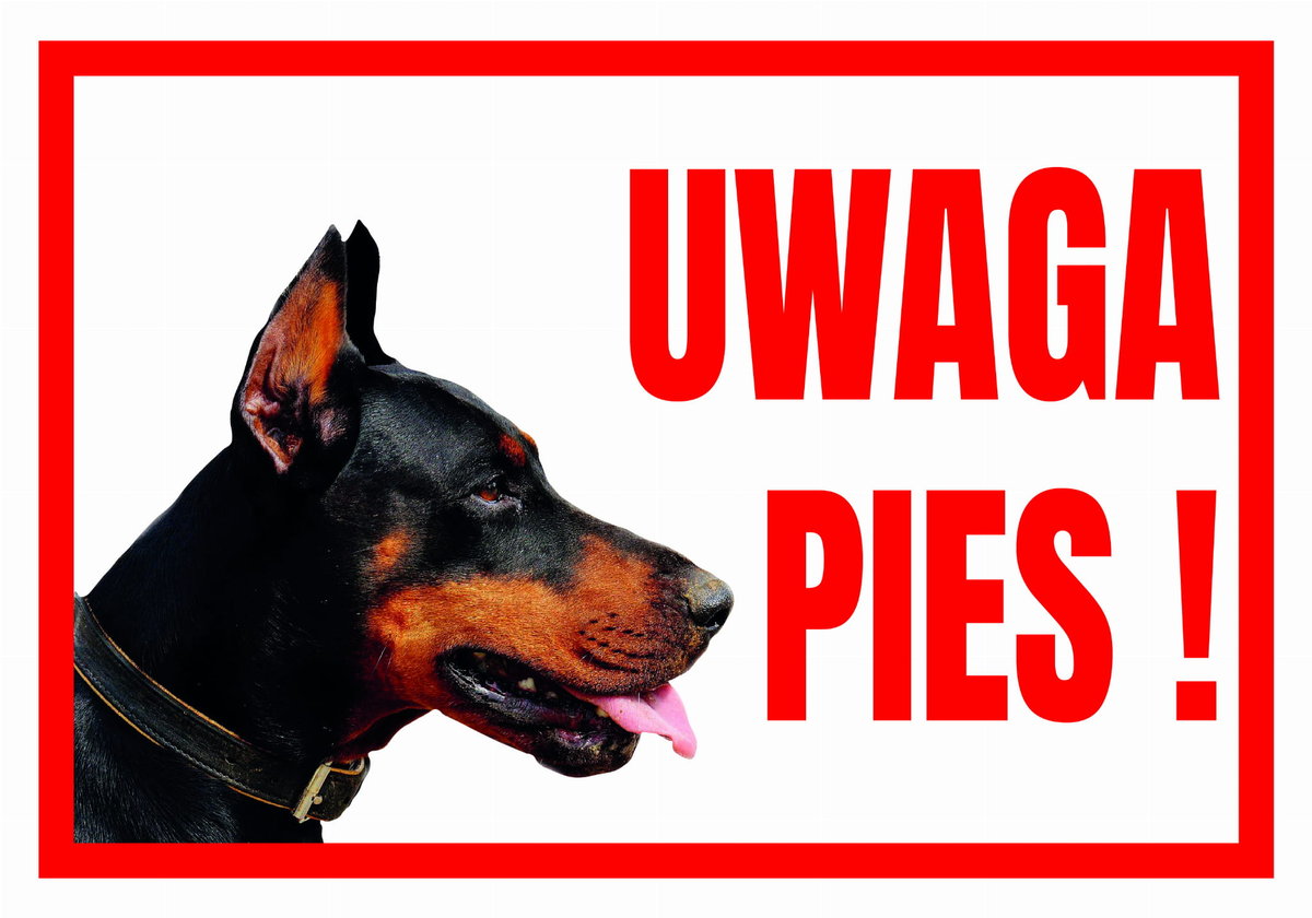Uwaga Pies  Doberman - Tabliczka Ostrzegawcza