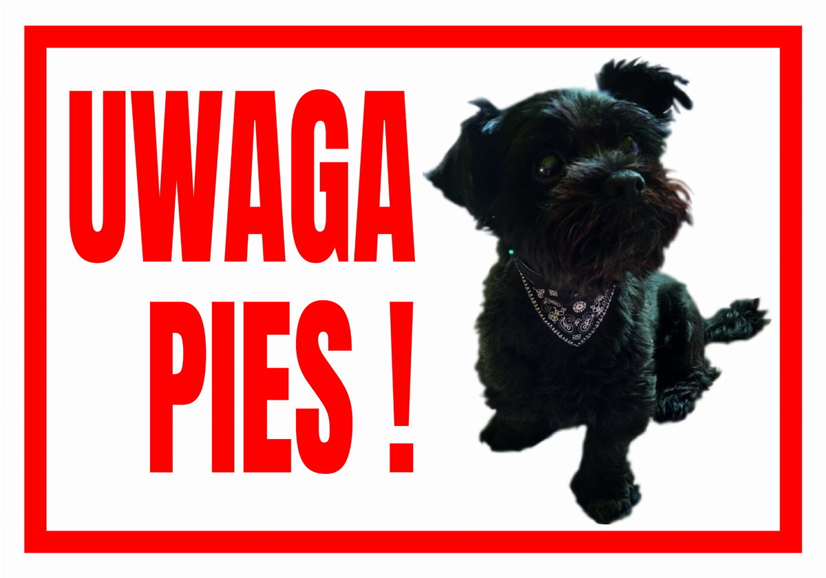 Uwaga Pies  Sznaucer - Tabliczka Ostrzegawcza