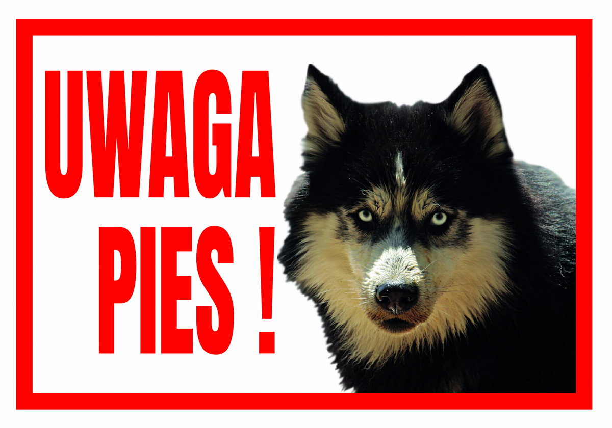 Uwaga Pies ! Husky - Tabliczka Ostrzegawcza