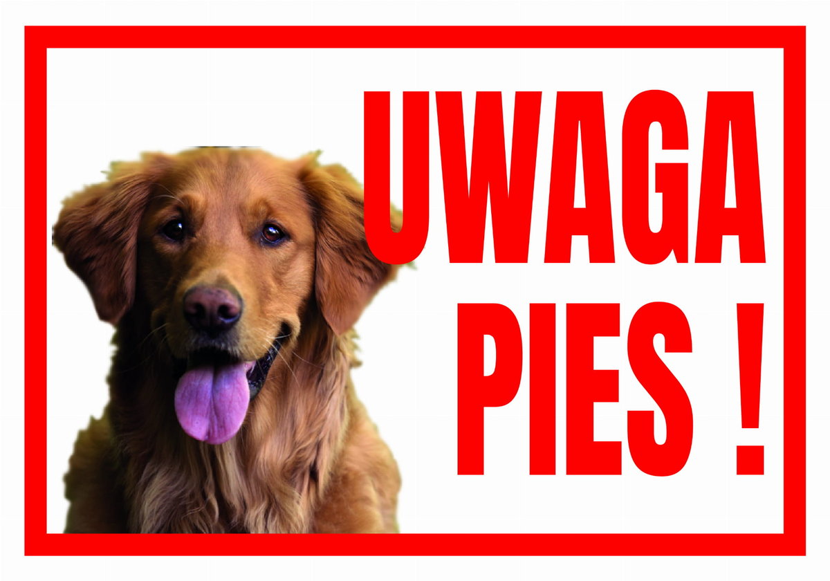 Uwaga Pies  Retriever - Tabliczka Ostrzegawcza