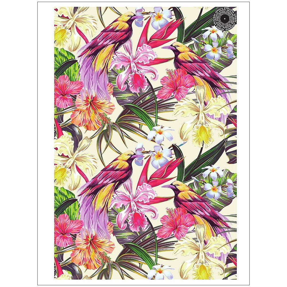 Paradise Brulion 96 Kartek A5 W Kratkę