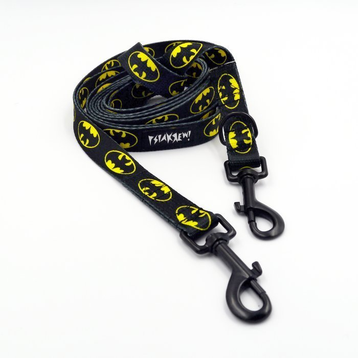 Smycz Dla Psa Długa Przepinana Regulowana Bat Dog szerokość 2 cm czarny karabińczyk 7 cm-220 cm
