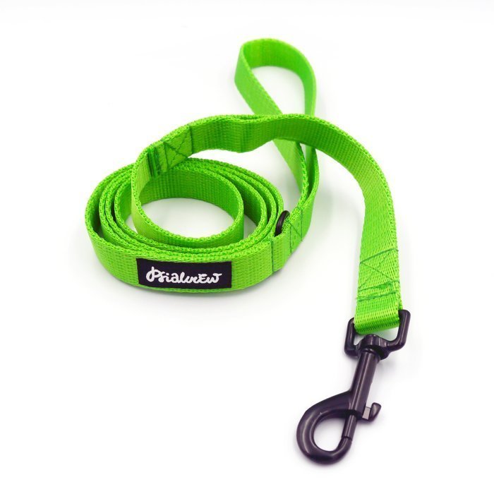 Limonkowa Smycz miejska dla małego Psa, szerokość 2 cm, karabińczyk czarny 7 cm-160 cm