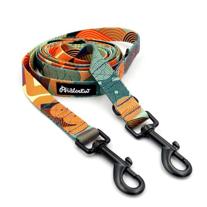 Smycz Dla Psa Długa Przepinana Regulowana Geo Snake szerokość 2 cm, czarne okucia-300 cm