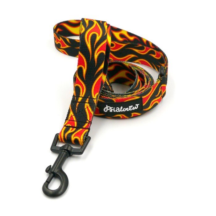 Smycz spacerowa miejska dla Psa Dog On Fire, szerokość 2,5 cm, czarny karabińczyk  6cm-160 cm