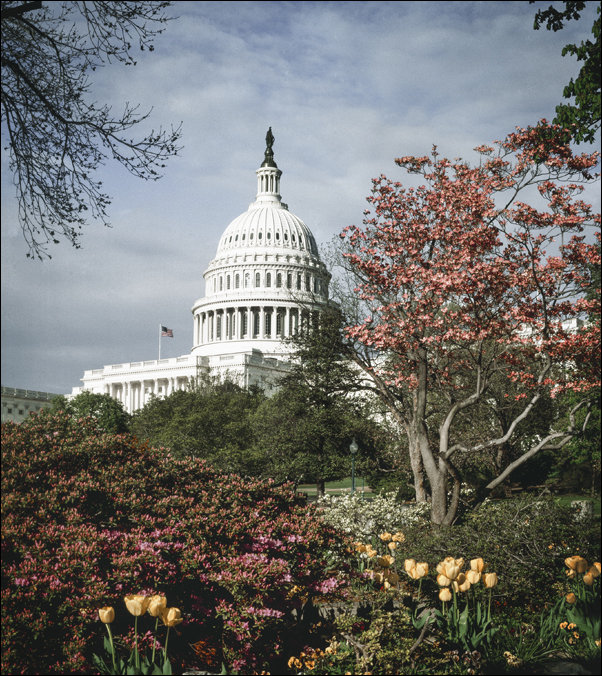A fat and sassy prairie dog on the grounds of Devil’s Tower National Monument in Crook County, Wyoming., Carol Highsmith - plakat 40x60 cm