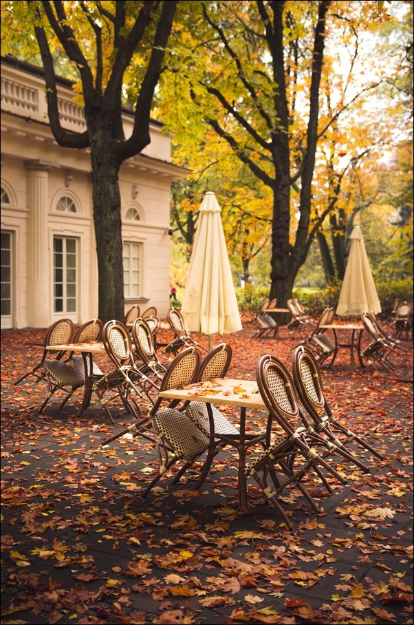 Warszawa Jesień w Łazienkach II - Plakat premium 59,4x84,1 cm