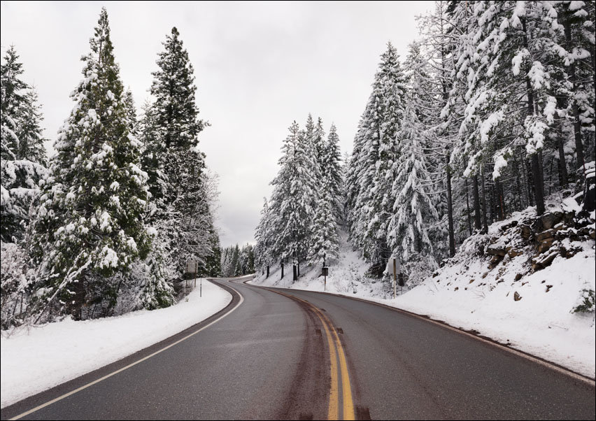 A living snow globe scene and winter wonderland, created by a sudden mountain blizzard along California Highway 36., Carol Highsmith - plakat 100x70 c