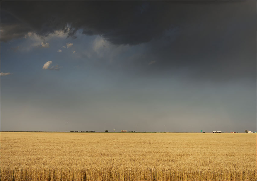 A perfectly flat wheatfield, worthy of western Kansas, Carol Highsmith - plakat 100x70 cm