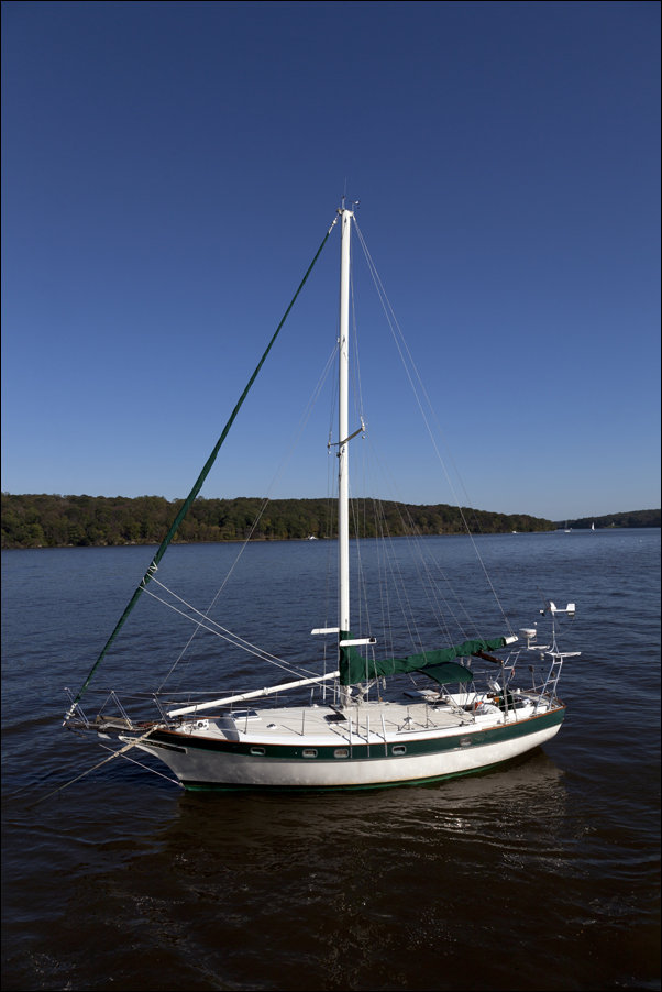 A small portion of the Fanny Bennett Hemlock Grove on one side of Spruce Knob, West Virginia., Carol Highsmith - plakat 30x40 cm