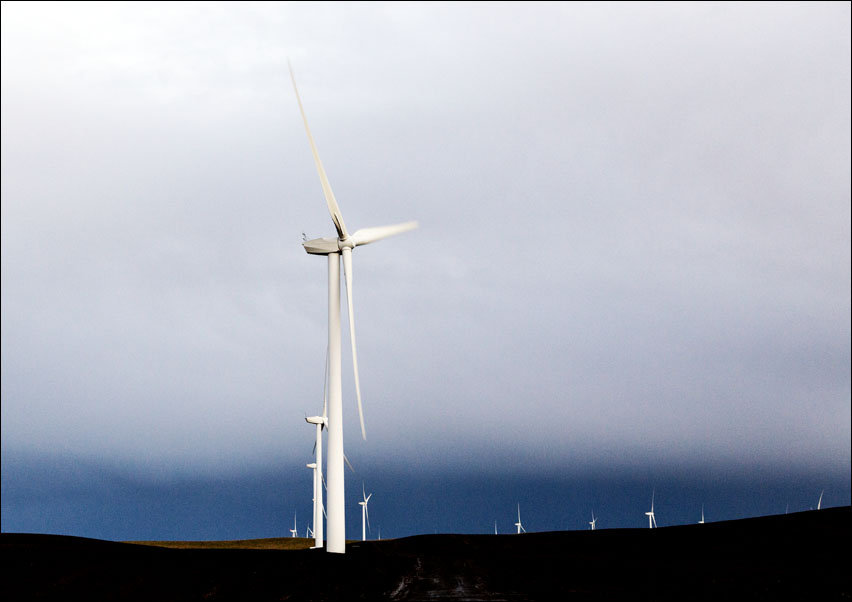 A wind farm off California Rt., Carol Highsmith - plakat 70x50 cm