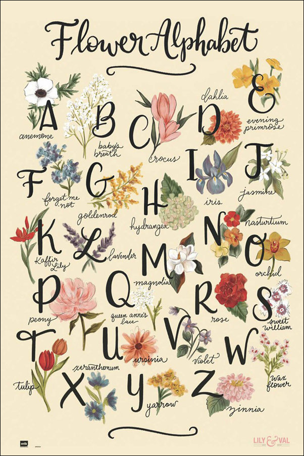 GBeye Educational Alphabet - plakat GN0581