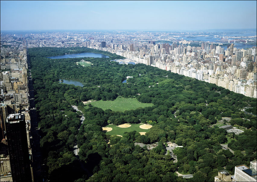 Aerial view of Central Park, New York., Carol Highsmith - plakat 50x40 cm