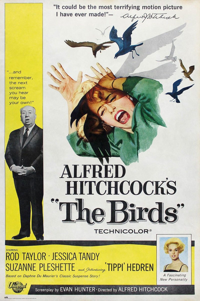 Alfred Hitchcock Ptaki - plakat 61x91,5 cm