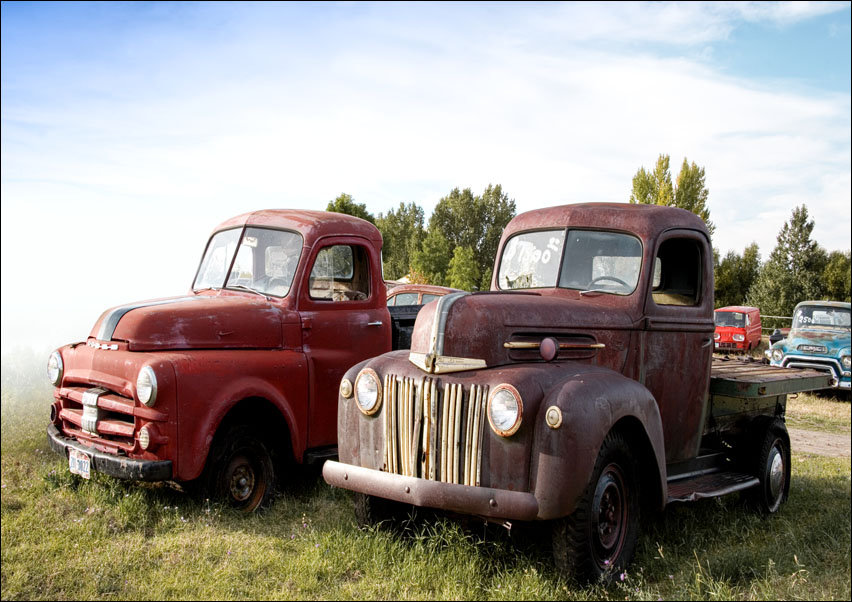 Antique trucks in Montana., Carol Highsmith - plakat 50x40 cm