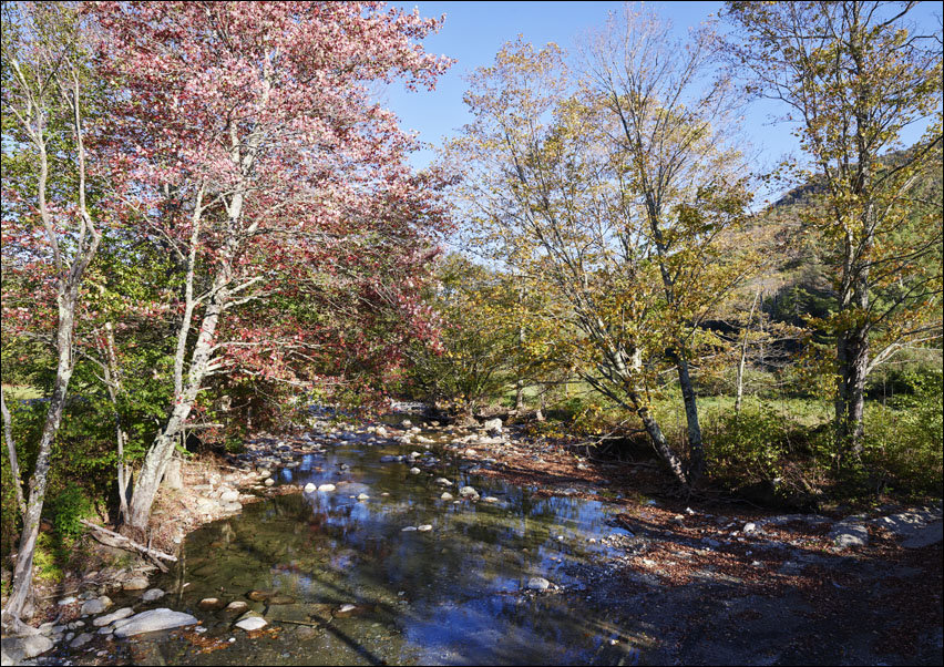 Autumn along the Robbins Branch creek, a tributary of the White River near Ripton, Vermont., Carol Highsmith - plakat 100x70 cm