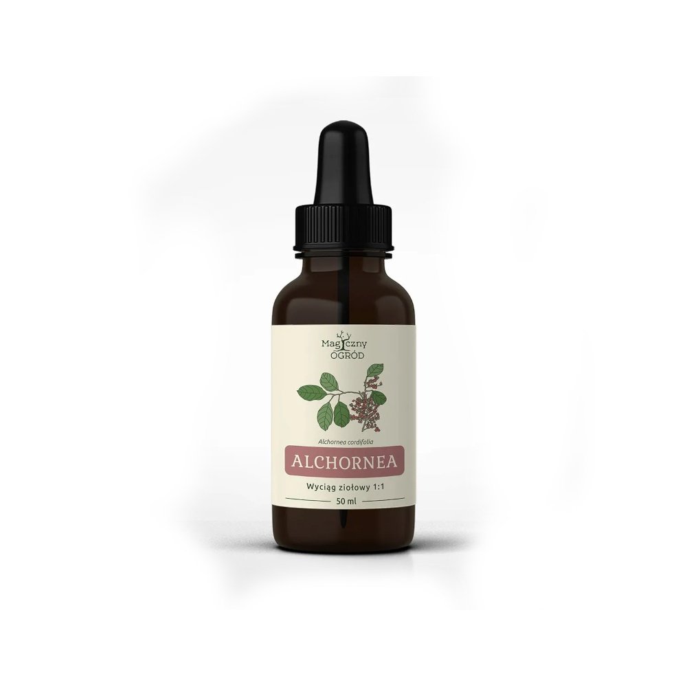 Alchornea cordifolia nalewka 1:1 50 ml - Nanga