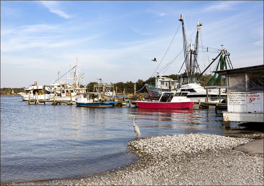 Bayou La Batre fishing village., Carol Highsmith - plakat 100x70 cm