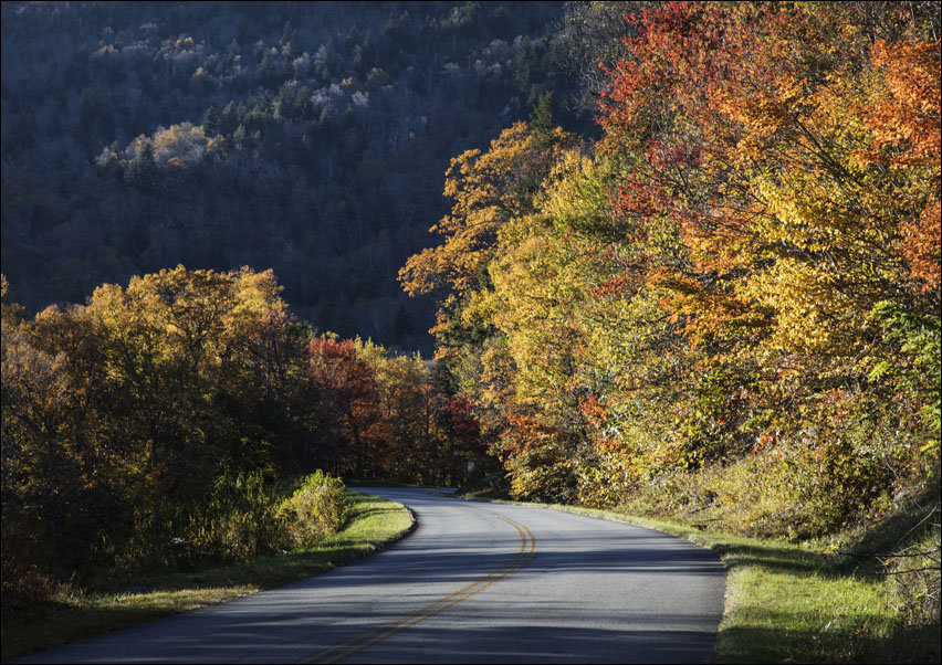 Bend in the roadway along the southern reaches of the Blue Ridge Parkway, near Linville, North Carolina, Carol Highsmith - plakat 40x30 cm