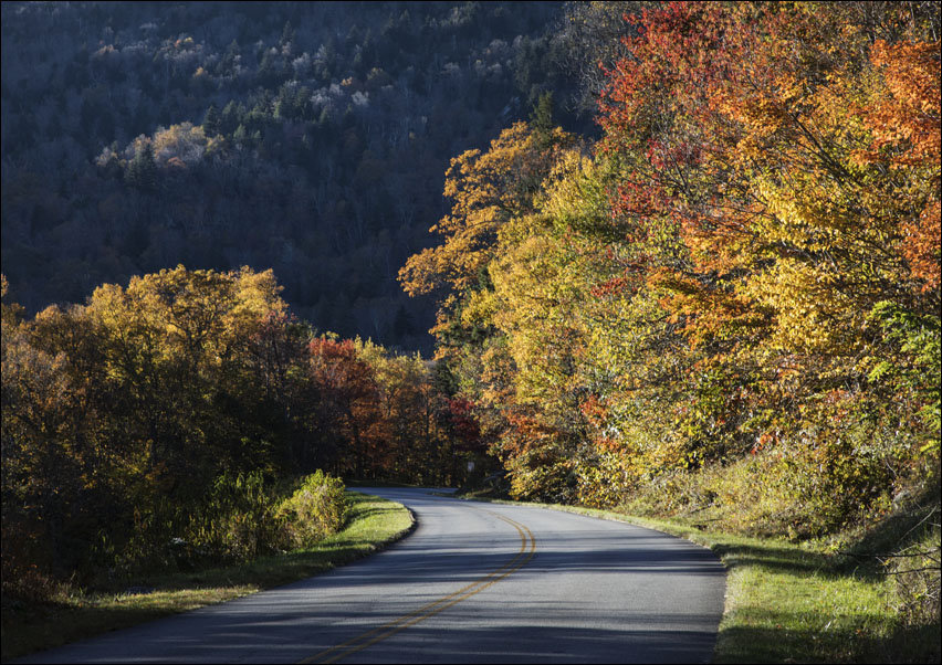 Bend in the roadway along the southern reaches of the Blue Ridge Parkway, near Linville, North Carolina, Carol Highsmith - plakat 50x40 cm