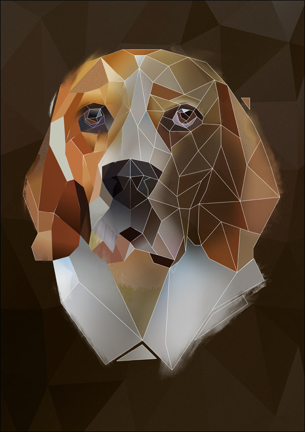Beagle, ciemne tło - plakat 61x91,5 cm