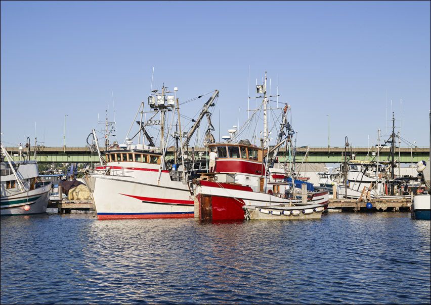 Boats at the docks in Seattle, Washington, Carol Highsmith - plakat 50x40 cm
