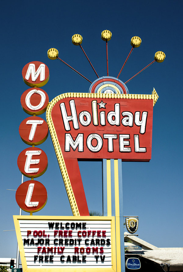 Cactus in the desert Arizona., Carol Highsmith - plakat 50x70 cm