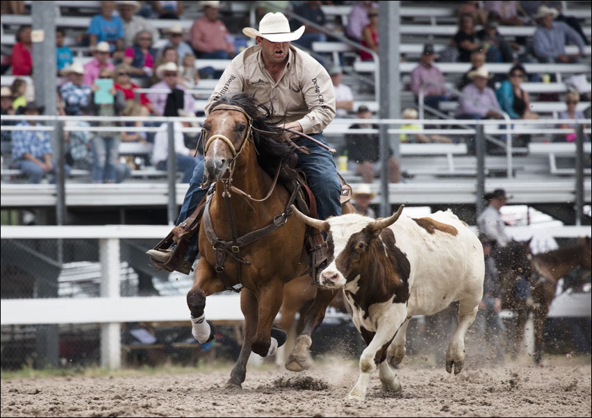 Calf roping at Cheyenne, Wyoming’s, annual Frontier Days rodeo., Carol Highsmith - plakat 50x40 cm