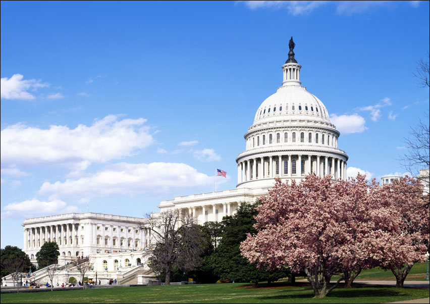 Capitol Hill during the cherry blossom season., Carol Highsmith - plakat 100x70 cm