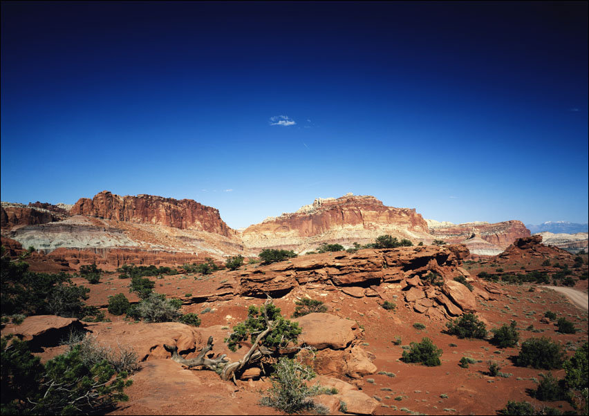 Capitol Reef National Park, Utah. Old Mammoth Road., Carol Highsmith - plakat 70x50 cm
