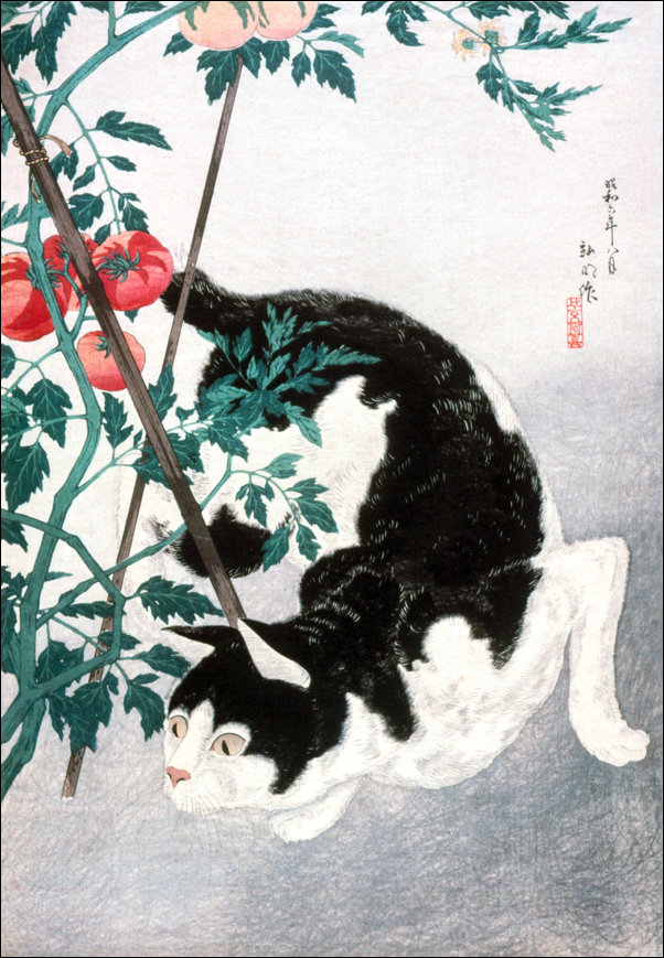 Cat with Tomato Plant, Hiroaki Takahashi - plakat 42x59,4 cm