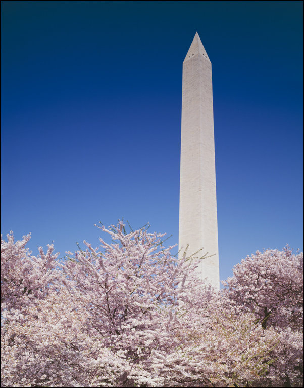 Capitol Hill, Washington, Carol Highsmith - plakat 61x91,5 cm