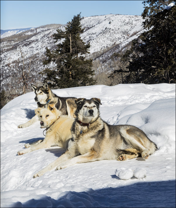 Copper Mountain, Carol Highsmith - plakat 61x91,5 cm