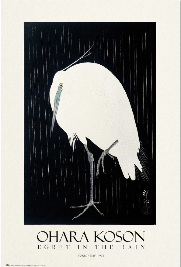 Czapla w Deszczu - plakat 61x91,5 cm