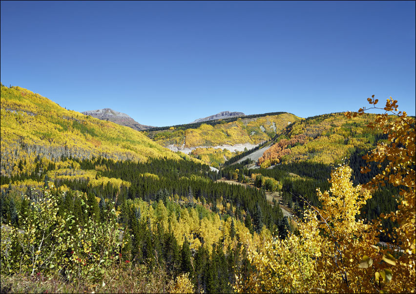 Fall aspens in San Juan County, Carol Highsmith - plakat 70x50 cm